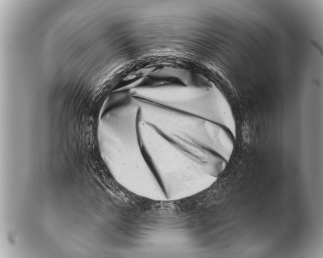 X0000101170968200807251129