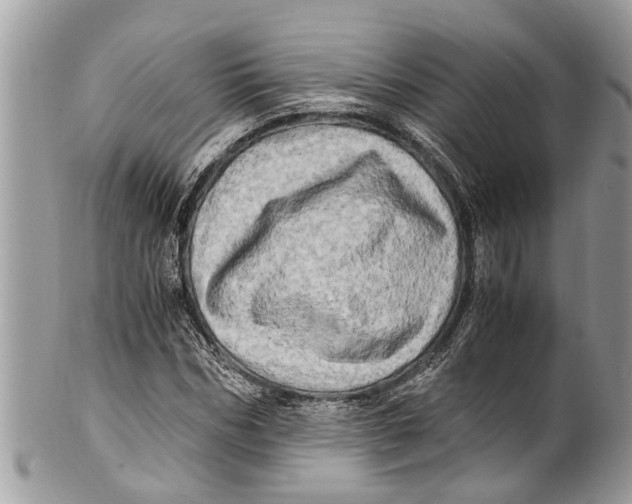 X0000101170970200807251129