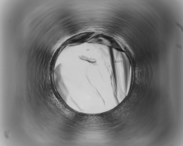 X0000101170972200807251129