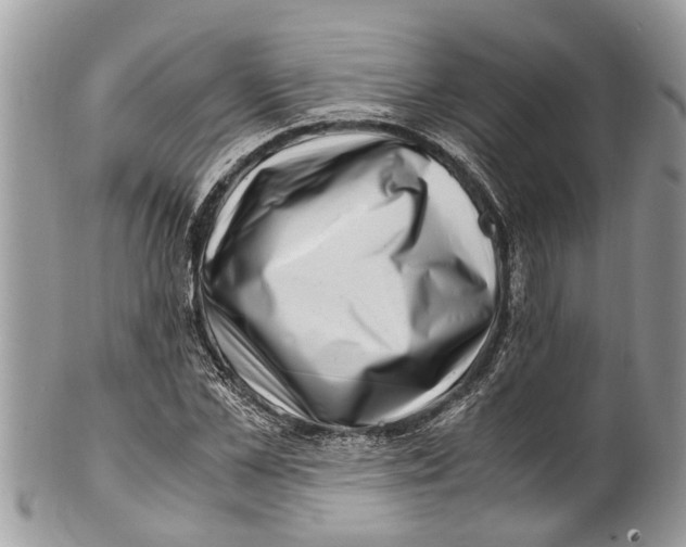 X0000101170973200807251129