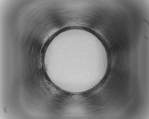 X0000101170974200807251129