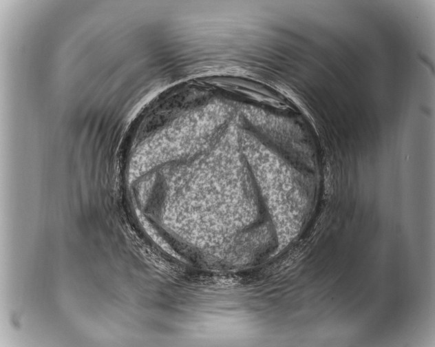X0000101170975200807251129