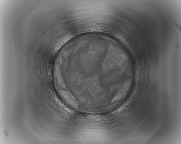 X0000101170977200807251129