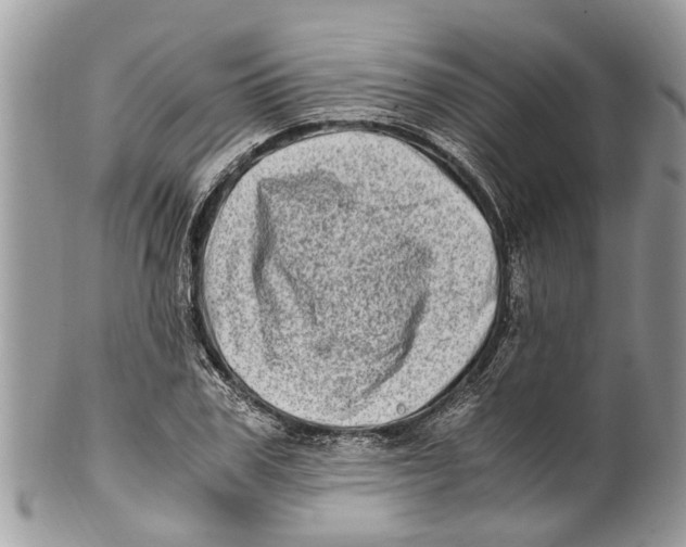 X0000101170979200807251129