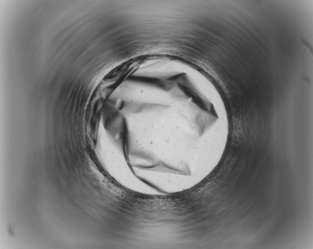 X0000101170980200807251129