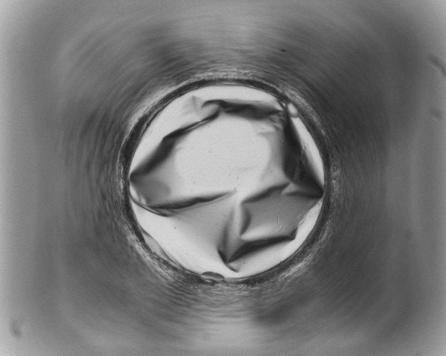 X0000101170981200807251129
