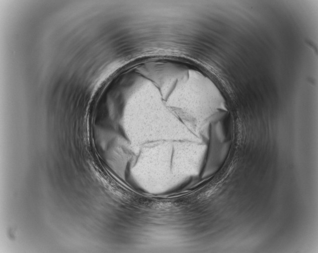 X0000101170982200807251129