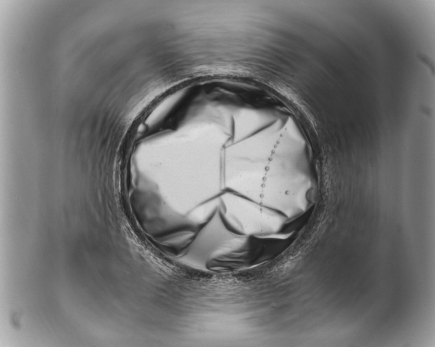 X0000101170983200807251129