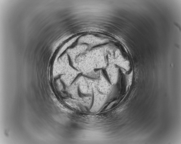 X0000101170987200807251129