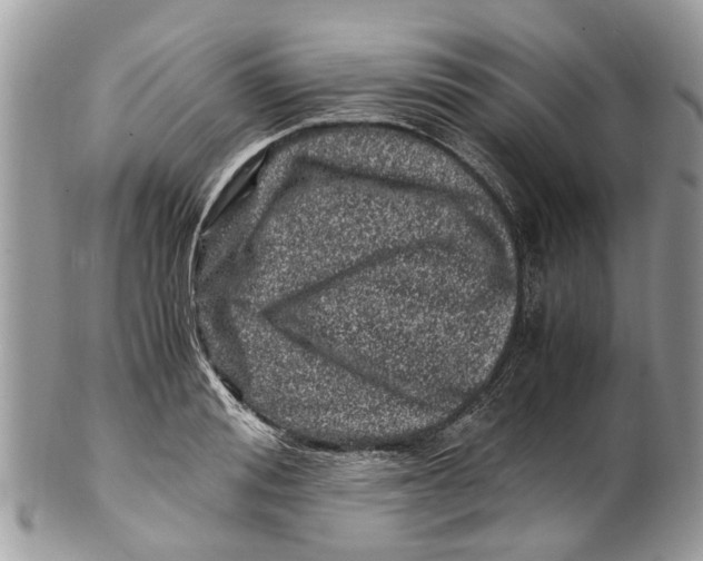 X0000101170988200807251129