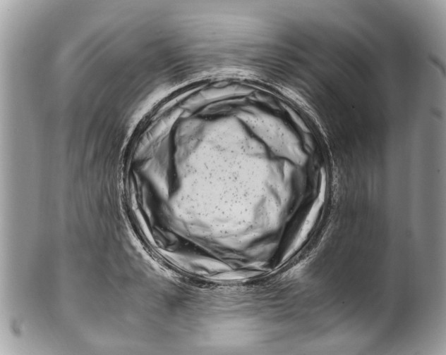 X0000101170989200807251129