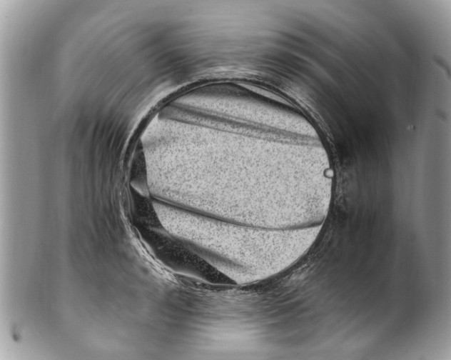 X0000101170992200807251128