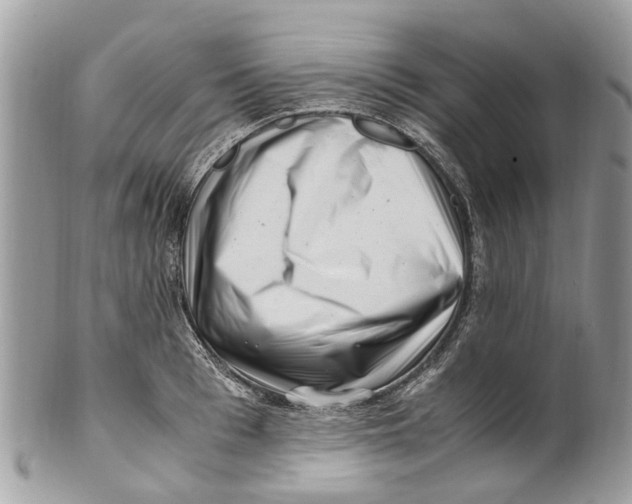 X0000101170993200807251128