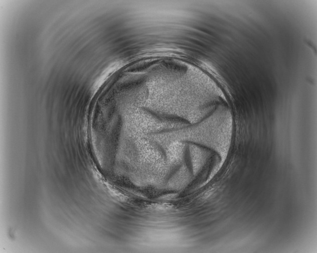 X0000101170994200807251128