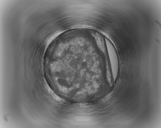 X0000101170995200807251128