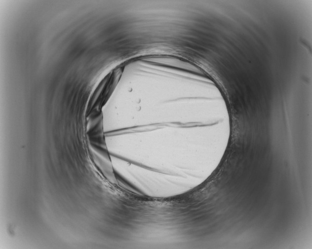 X0000101170996200807251128