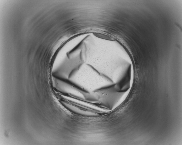 X0000101170997200807251128