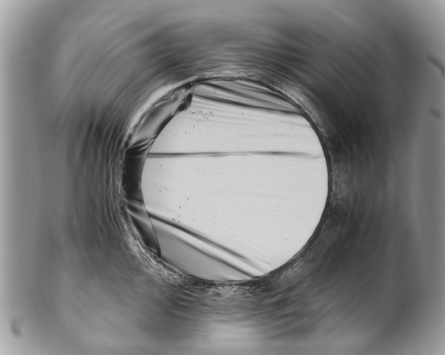 X0000101171000200807251128