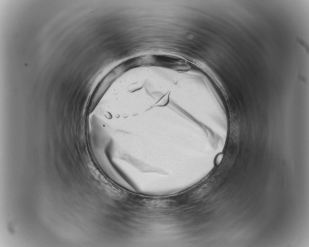 X0000101171004200807251128