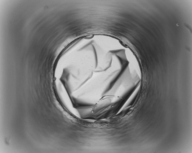 X0000101171005200807251128