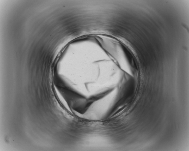 X0000101171006200807251128