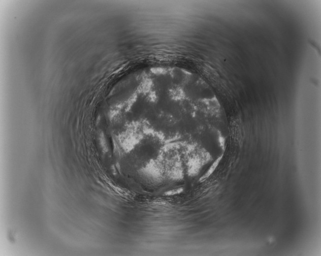 X0000101171009200807251128