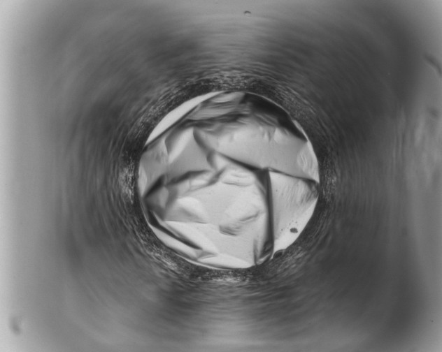 X0000101171010200807251128