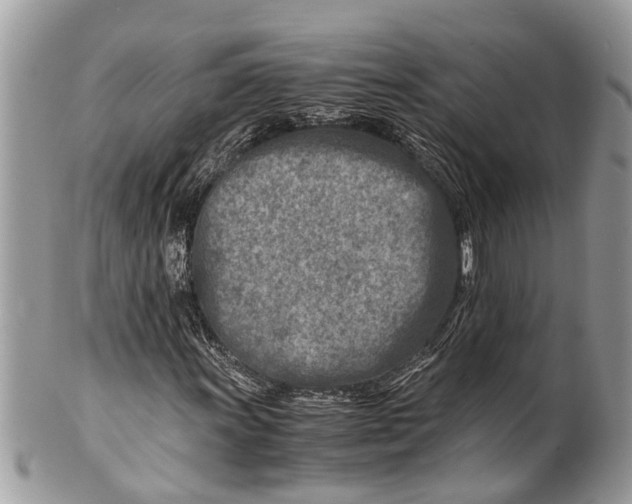 X0000101171011200807251128