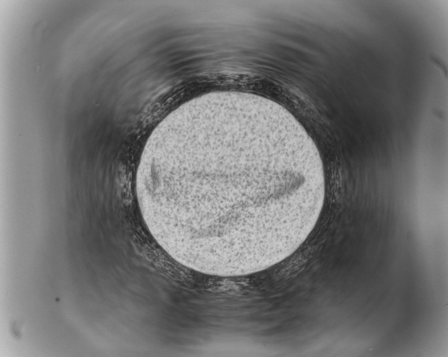 X0000101171013200807251128