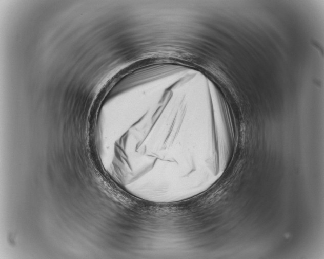 X0000101171020200807251128