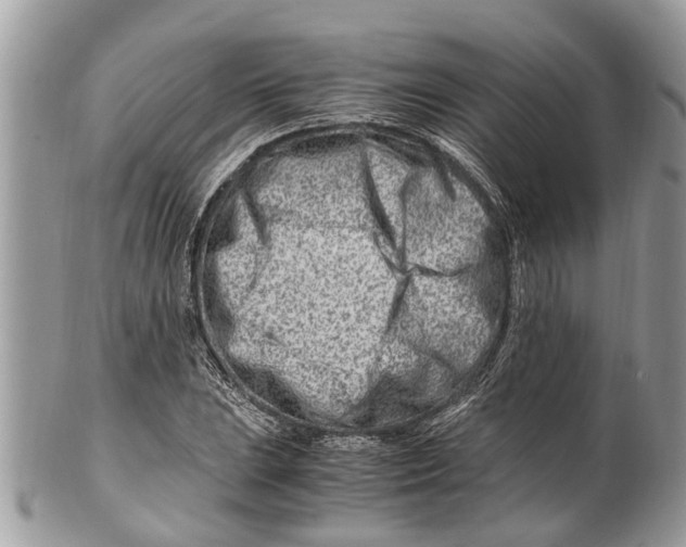 X0000101171023200807251128