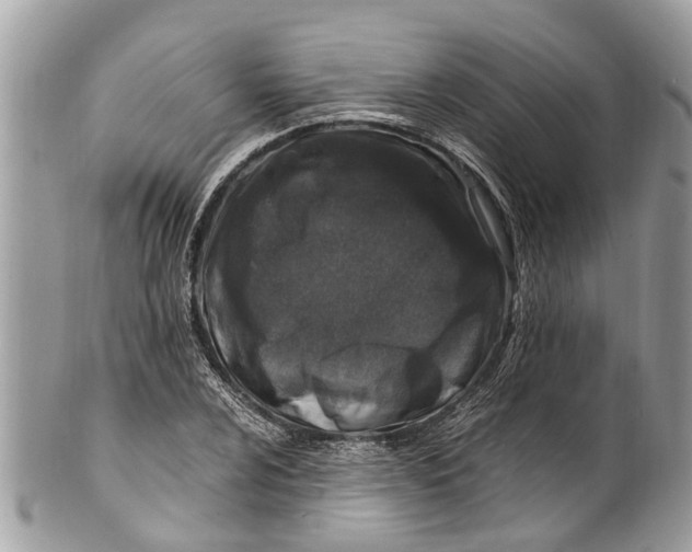 X0000101171024200807251128