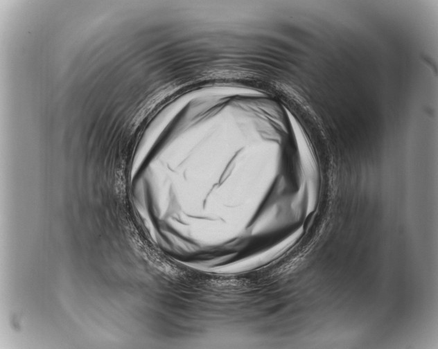 X0000101171025200807251128