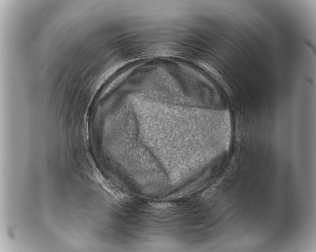 X0000101171031200807251128