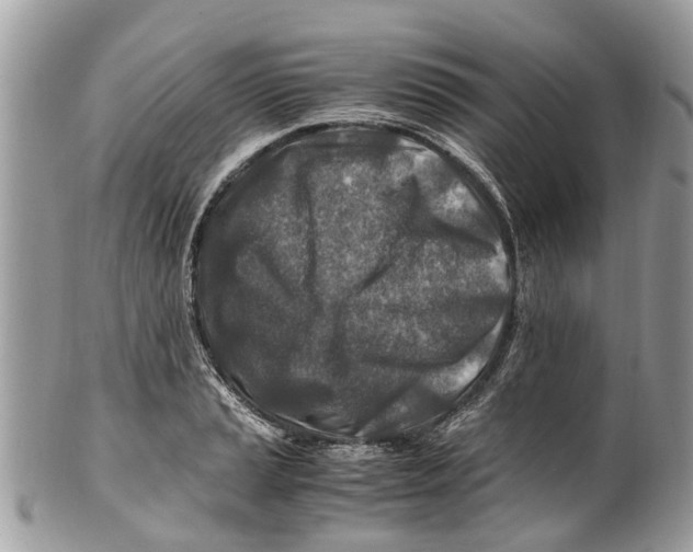 X0000101171037200807251128