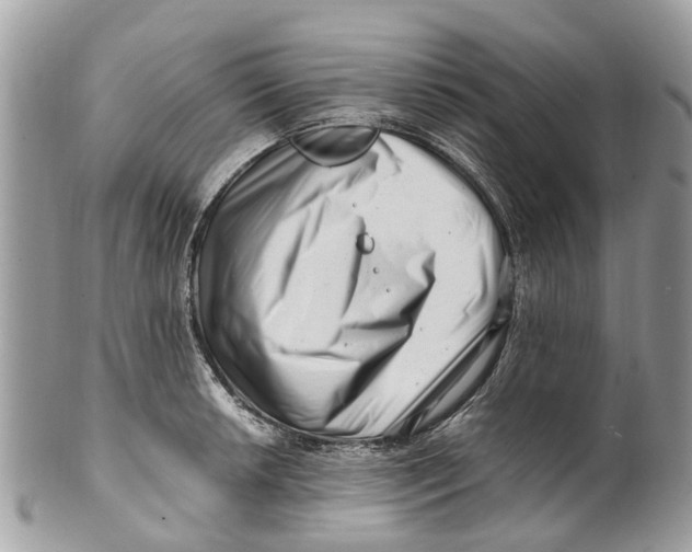 X0000101171042200807251128