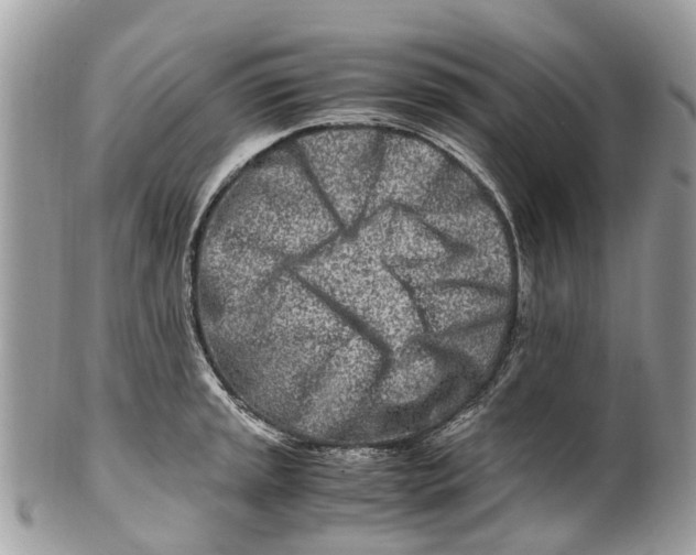 X0000101171045200807251128