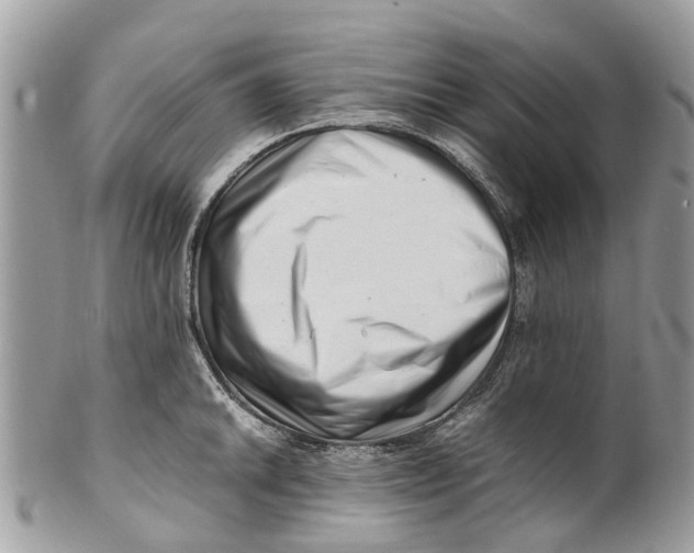 X0000101171046200807251128