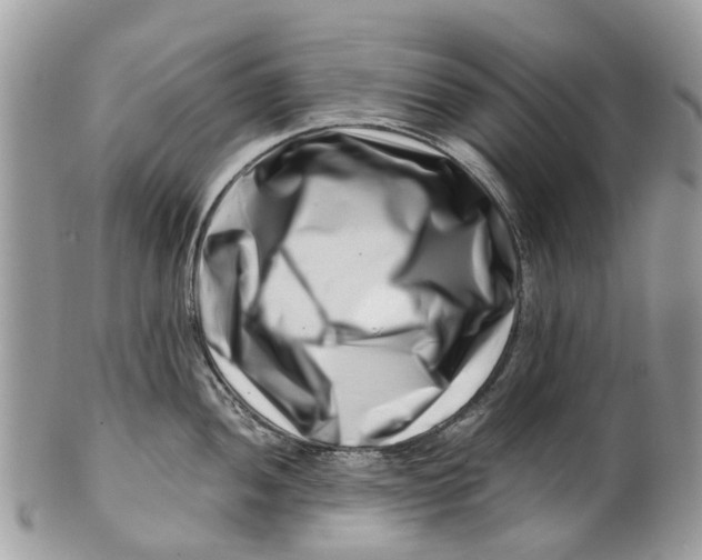 X0000101171052200807251128