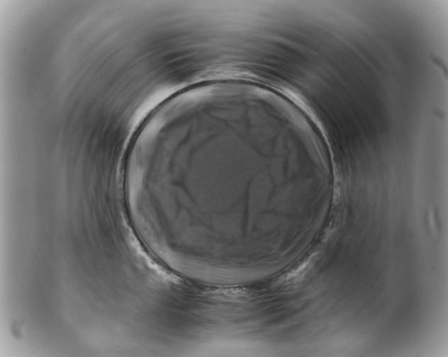 X0000101171053200807251128