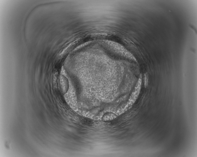 X0000101171059200807251128
