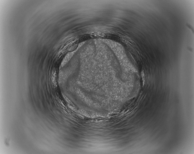 X0000101171060200807251128