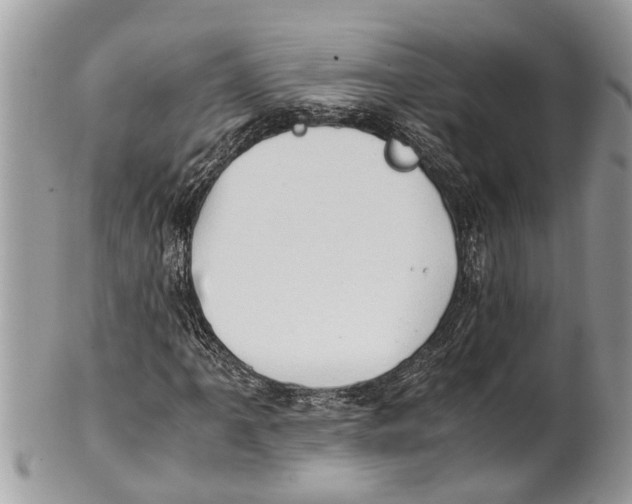 X0000101171061200807251128
