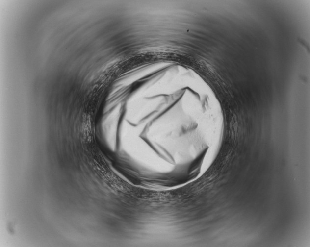 X0000101171062200807251128