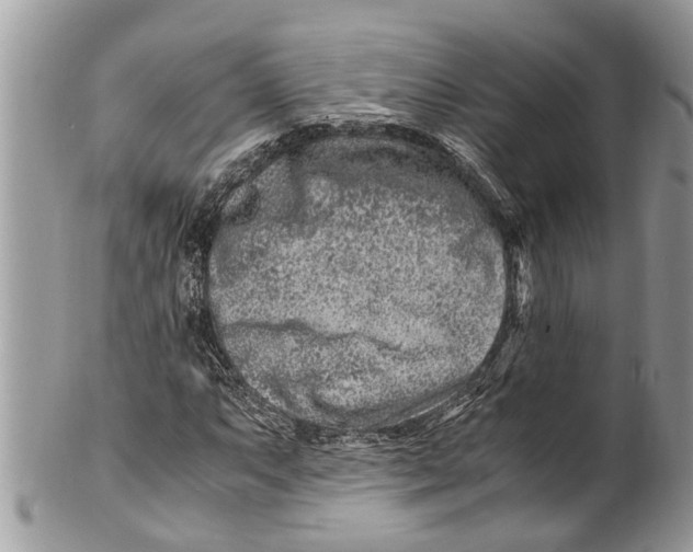 X0000101171063200807251128