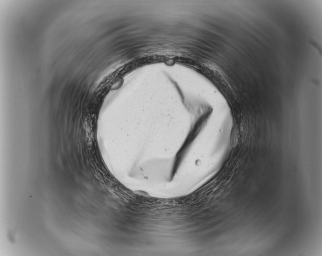 X0000101171064200807251128