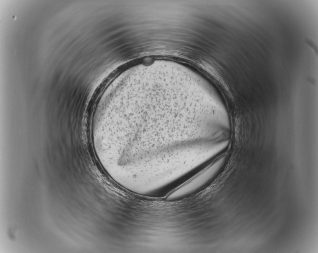 X0000101171068200807251127