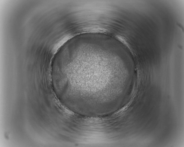 X0000101171071200807251127