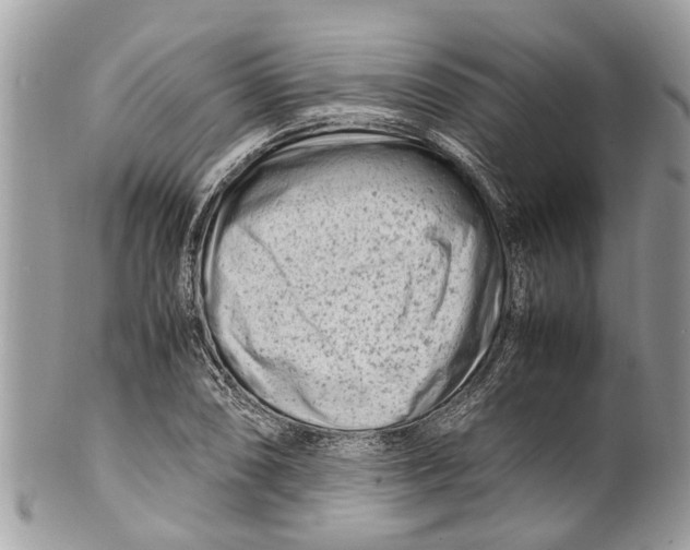 X0000101171074200807251127