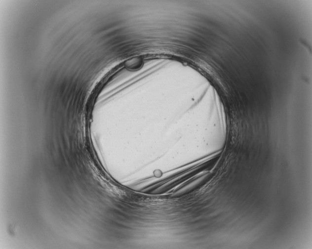 X0000101171076200807251127